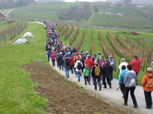 Drašiči 