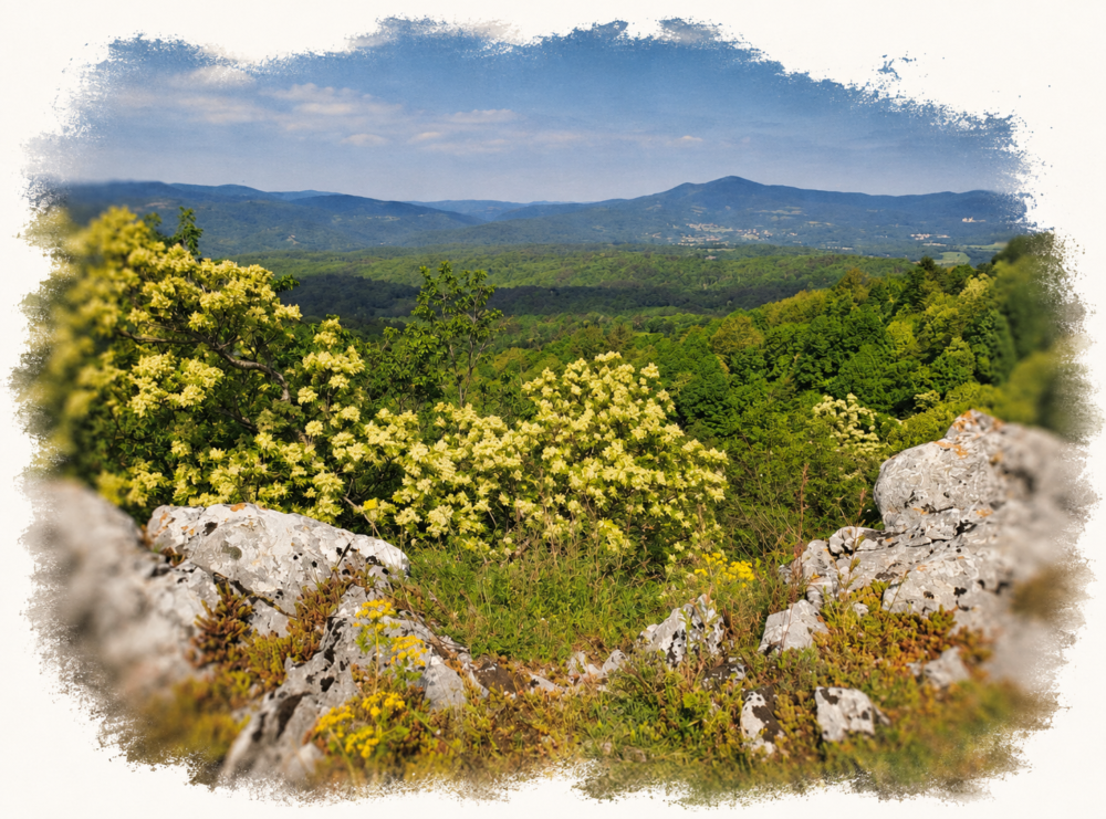 Mladinski odsek https://planinskodrustvo-medvode.eu/wp-content/uploads/2026/08/Mladinski-odsek-e1786644339939.png